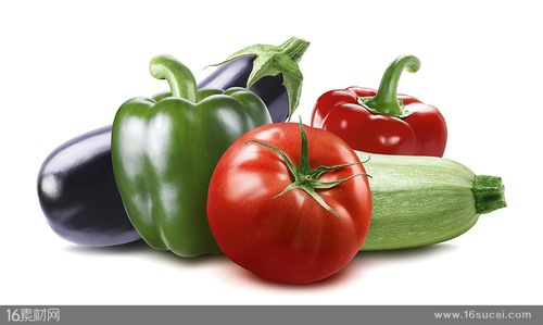  高清图片 食品果蔬图片 关键词:紫色茄子青辣椒红辣椒西红柿西